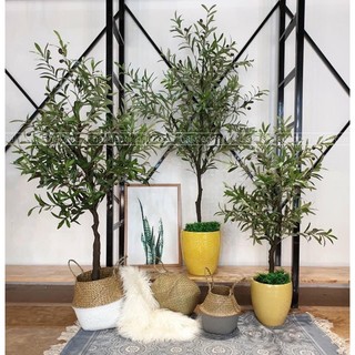 Cây olive giả -cây nhựa trang trí