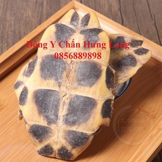 Quy bản 100g - đông y chấn hưng long