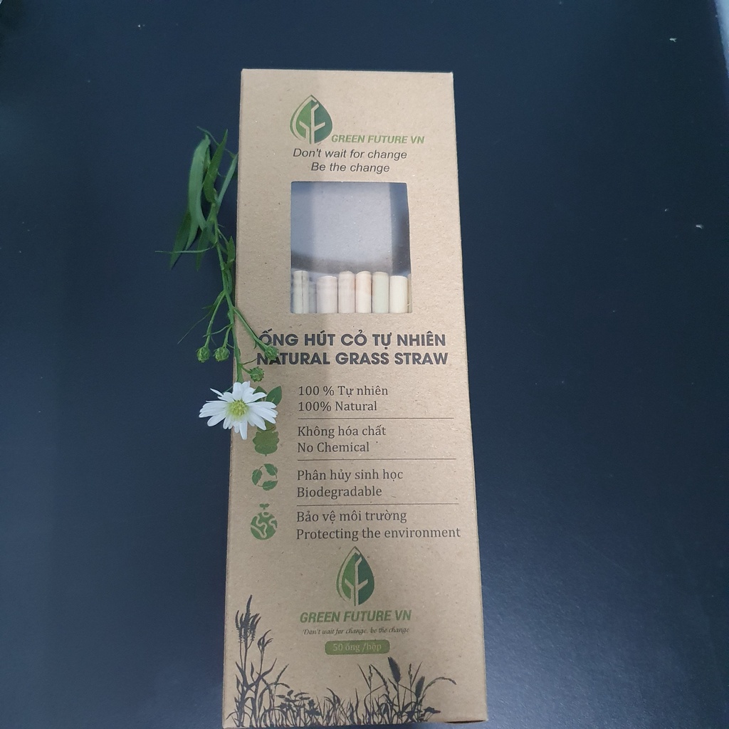 1 HỘP ỐNG HÚT CỎ BÀNG KHÔ 15 CM TIÊU CHUẨN XUẤT KHẨU-GREEN FUTURE STRAW