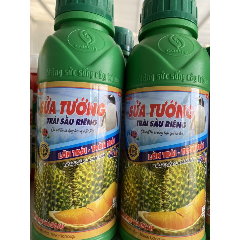 Sửa Tướng Trái - Gia Nông