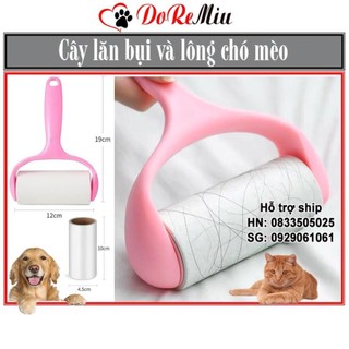 Cây lăn lông chó mèo và lăn bụi