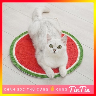 Đồ chơi bàn cào móng hình dưa hấu cho mèo