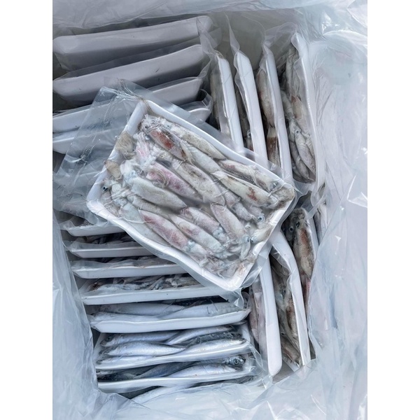 500gram cá cơm than tươi sống cấp đông tại ghe ở Đảo lý Sơn