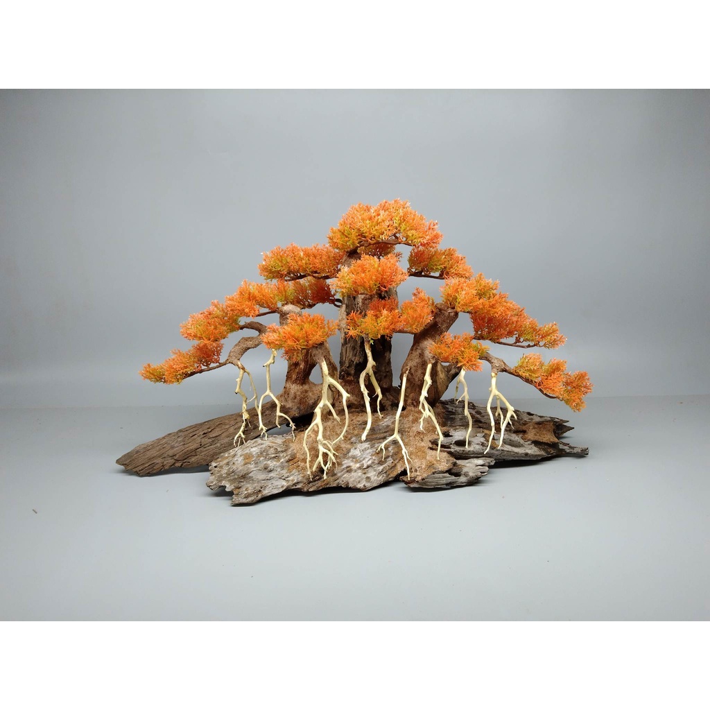 Cây gỗ lũa Bonsai cho hồ cá cảnh