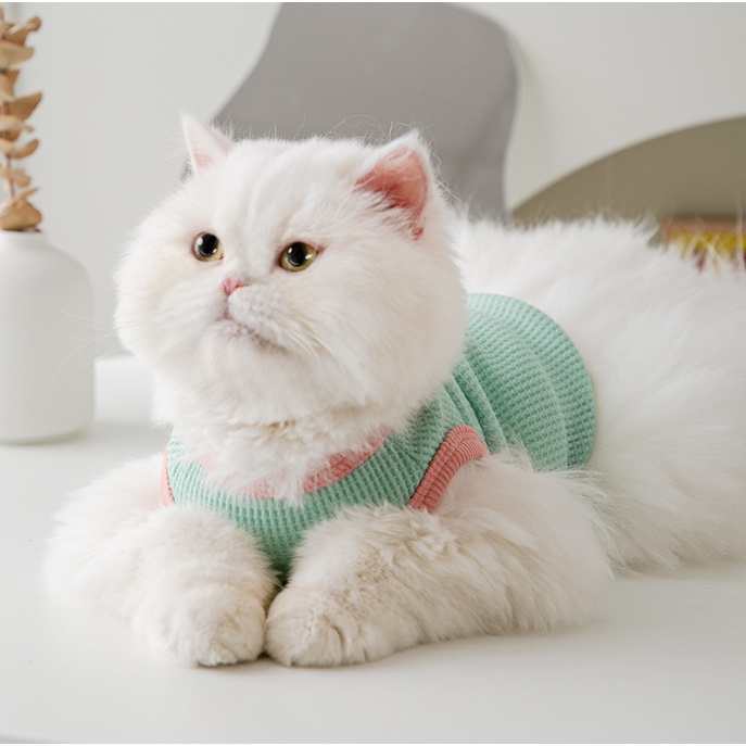 ÁO 3 LỖ MÀU SẮC NGHÔ NGHĨNH THOÁNG KHÍ MÁT MẺ MÙA HÈ CHO THÚ CƯNG