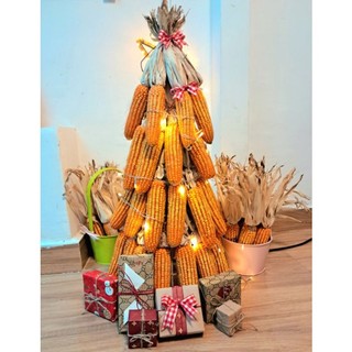 Bắp ngô khô trang trí, bắp ngô decord , bắp khô trang trí