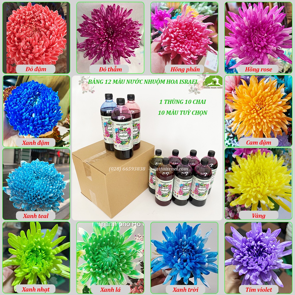 Nước Nhuộm Hoa Tươi đủ 12 màu  theo công nghệ Israel giúp nhuộm đổi màu hoa cắt cành theo ý muốn
