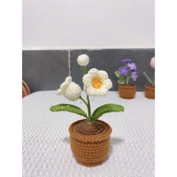 CHẬU HOA mini Handmade để bàn