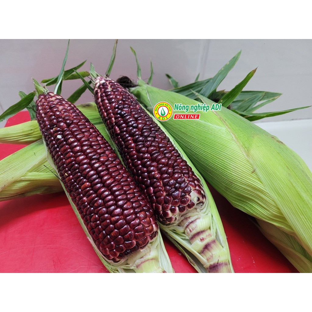 Hạt giống ngô trái cây Fruit Corn 141 gói 20g-Ăn tươi, không cần luộc, giòn, ngọt, chống oxy hoá...MUA VANG BOI THU ADI