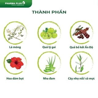 Thảo dược nhuộm tóc [Nhập khẩu Ấn Độ] | Pharma Plus - Chính Hãng