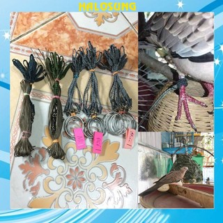 Dây xích chân chim cu gáy nuôi lồng trần Phụ kiện lồng chim Halosung PK99