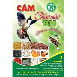 Cám chào mào bh số 1