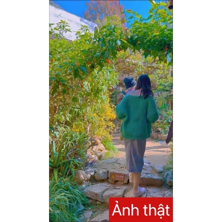 Áo len cardigan màu kẹo ngọt mùa đông thời trang ulzzang Hàn Quốc