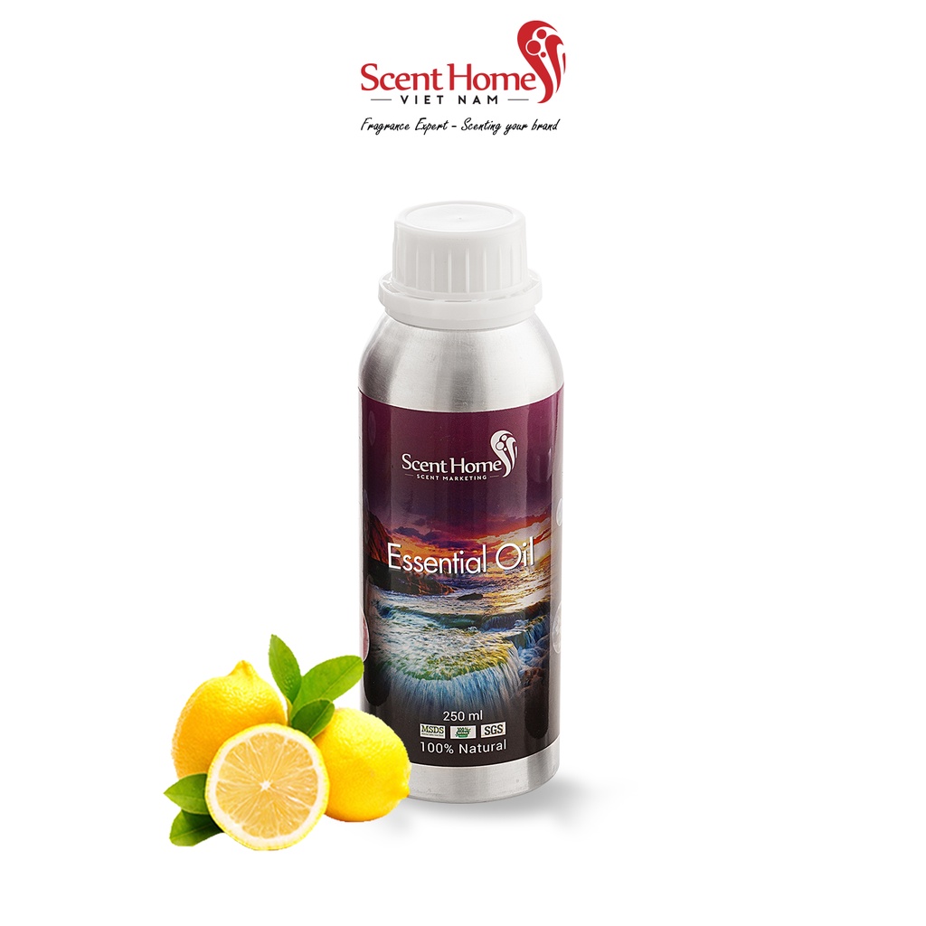 [Chính hãng] Tinh dầu Lemon UK - ScentHomes (Lemon UK - 50ml,100ml,250ml)