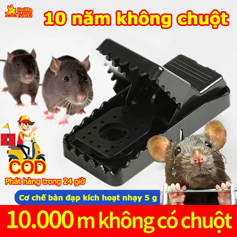 10 năm không chuột,Bẫy Chuột,Cơ chế bàn đạp kích hoạt nhạy 5 g size XL 4 gói,bẫy chuột thông minh,BẪY CHUỘT ĐEN THÔNG MI