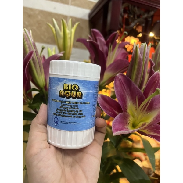 Vi sinh bột dành cho hồ cá\hủ 100g+tặng gói 10g.Giá không đổi