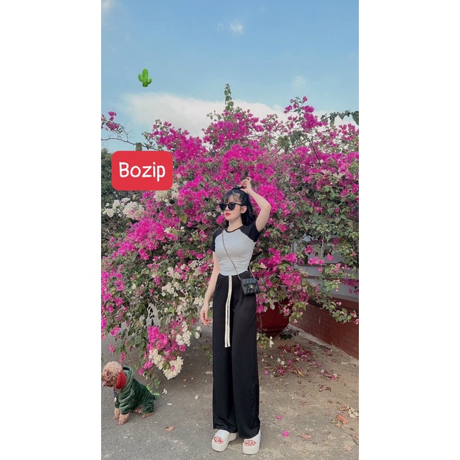 Set bộ thun bozip nữ mặc nhà đi chơi quần suông dài mix áo thun tay ngắn phối màu cổ tròn xinh hot