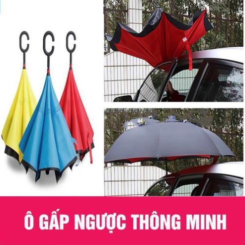 Ô ngược chuyên dụng cho người đi ô tô