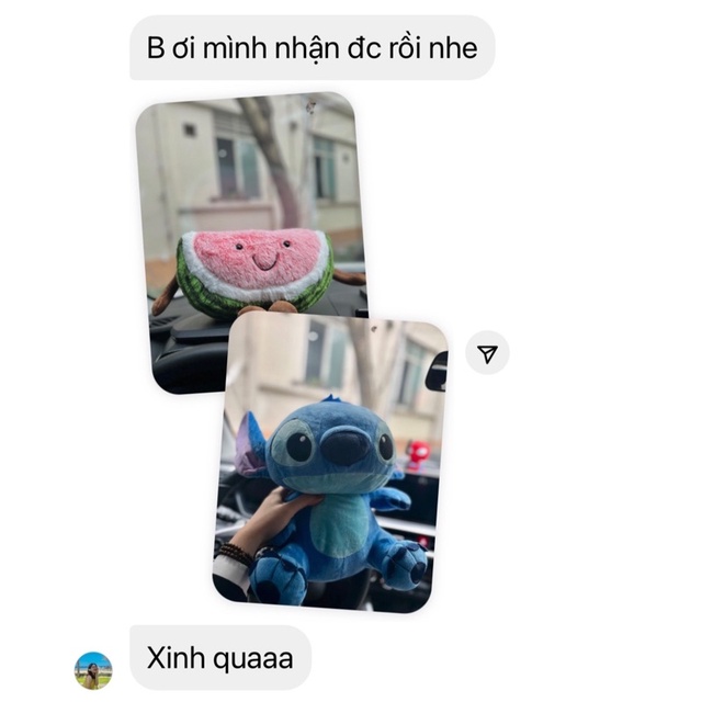 Gấu bông dưa hấu vui vẻ lông mịn dễ thương thú nhồi bông dưa hấu đồ chơi quà tặng|Gauxinhcorner