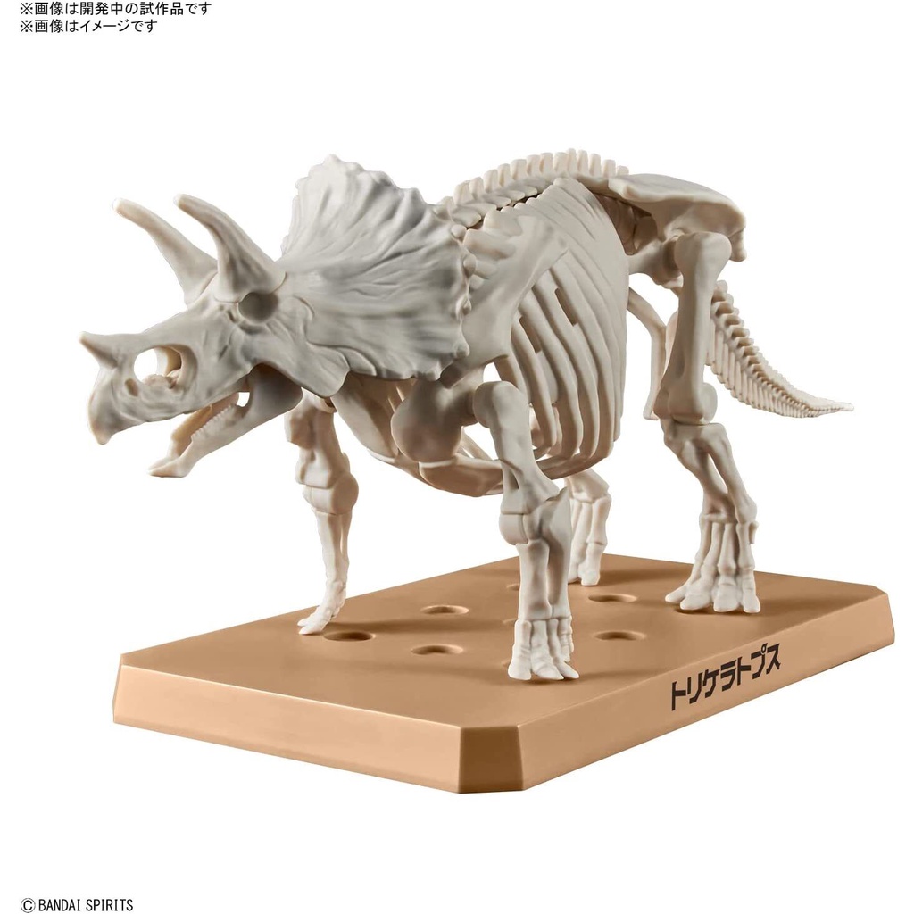Mô hình lắp ráp PLANNOSAURUS Triceratops Bandai 4573102642639