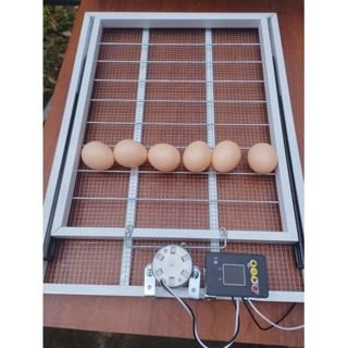 Bộ hẹn giờ, timer hẹn giờ đảo trứng tự động 220v