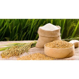 1kg Lúa cho chim kiểng, gà kiểng, gà đá chất lượng cao