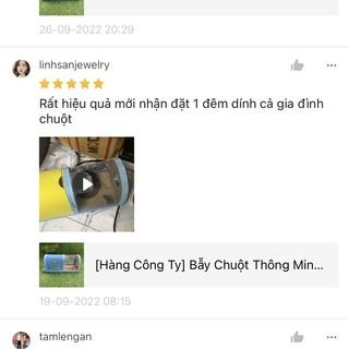 [Tặng Mồi Nhử] Bẫy Chuột Thông Minh - Cỡ Đại
