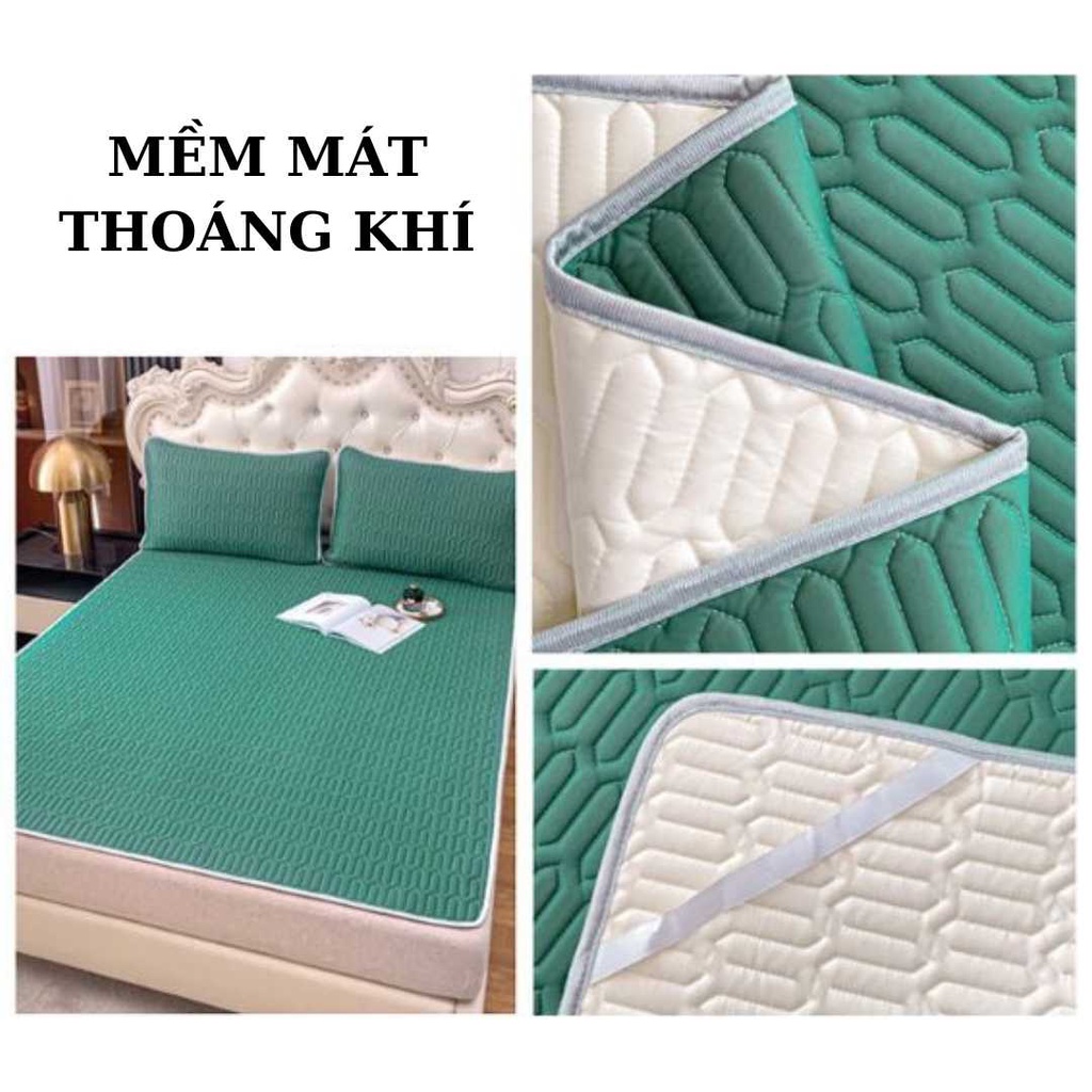Chiếu điều hòa cao su non Latex Thái Lan vải lụa Tencel mịn mát hàng loại 1 êm ái thoáng mát giải nhiệt mùa hè