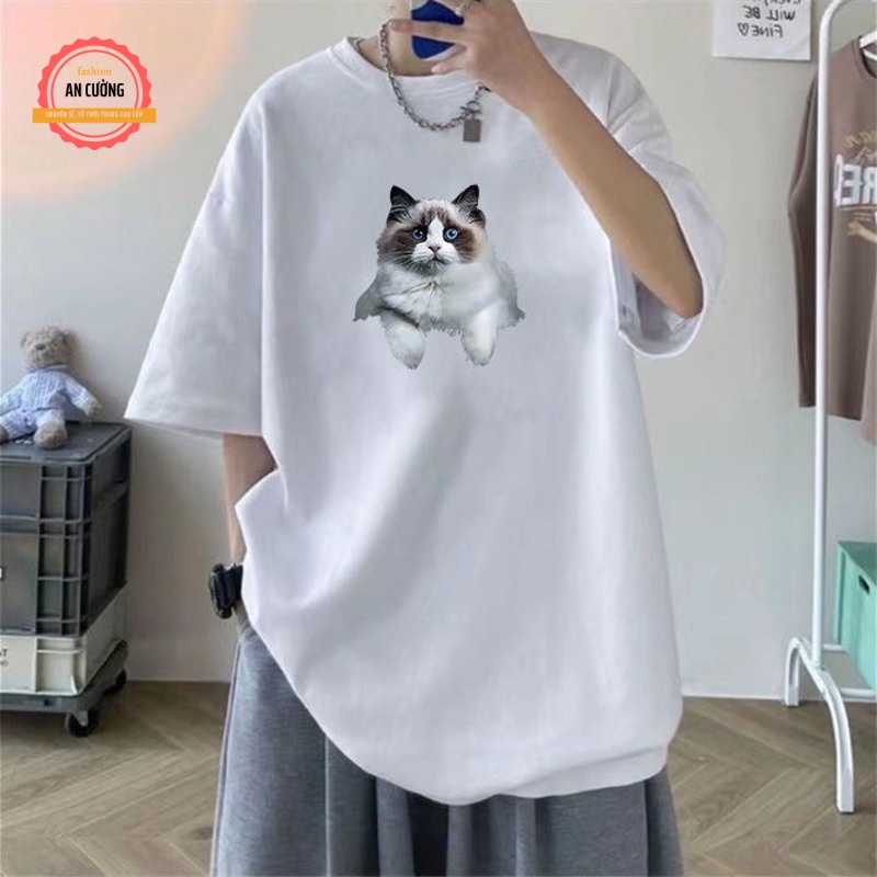 Áo thun nam, áo phông nam tay ngắn cổ tròn chất cotton  dày dặn thoáng mát ATN039 - An Cường Fashion