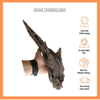 Lũa san đá miếng
