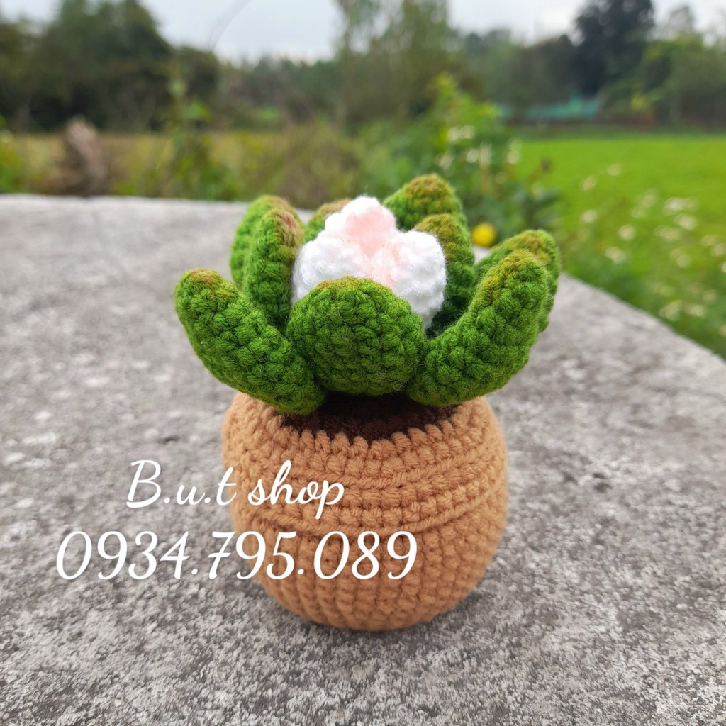 Chậu sen đá handmade mini - được làm từ len sợi