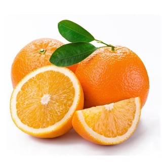 Cây cam vàng Navel giống