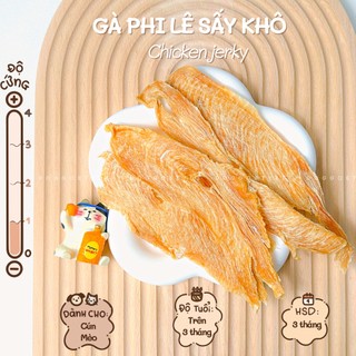 Treat Bánh Thưởng Cho Chó Mèo Phi Lê Gà Sấy Khô DOGGO Homemade Không Chất Bảo Quản 100G / Thức Ăn Cho Chó Thú Cưng