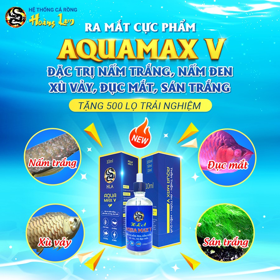 Aquamax 2 Khoáng chất, Vitamin Cá Rồng, Cá Koi