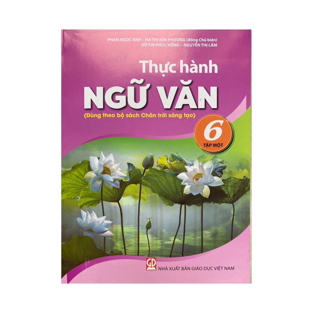 Sách - Thực hành Ngữ văn 6 tập 1