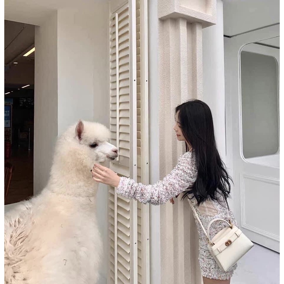 Túi đeo chéo nữ túi cn.k khóa ngang size 20 hàng xuất dư kèm dây đeo chéo sang chảnh - ZENI.STORE