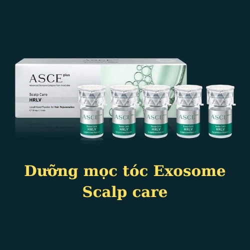 Dưỡng mọc tóc Exosome asce hộp 5 ống bột đông khô