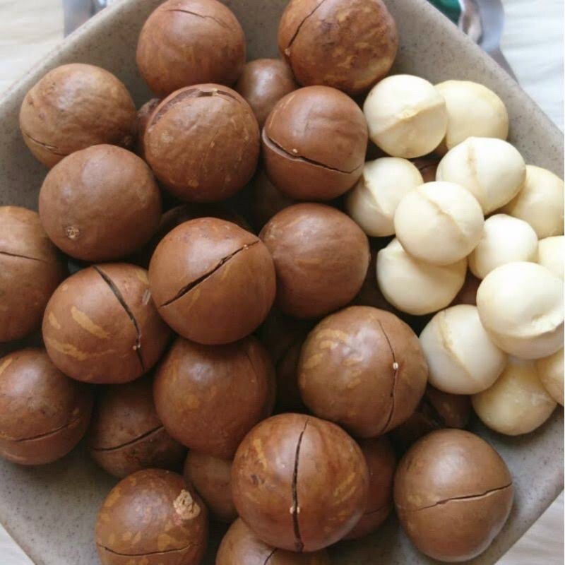 Hạt  MACCA TÂY NGUYÊN 500gr