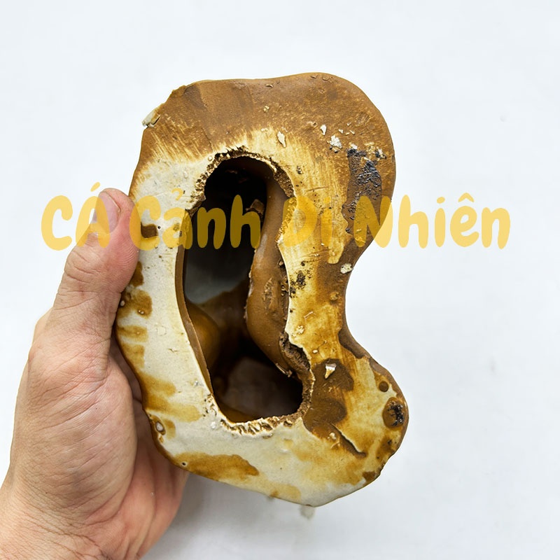 Nhà rơm đôi làm tiểu cảnh trang trí cho bể cá mini size 15x9 cm bằng gốm sứ BTD1-69