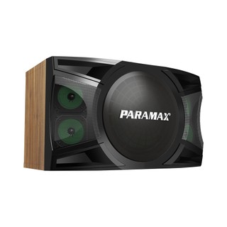 Loa Karaoke 12 inches Paramax P-2500