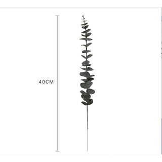 Cành bạch đàn giả 32cm và 40cm