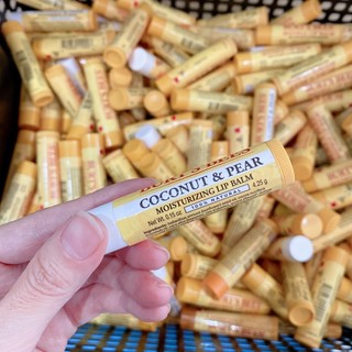 Son dưỡng môi Burt's Bees Moisturizing Lip Balm