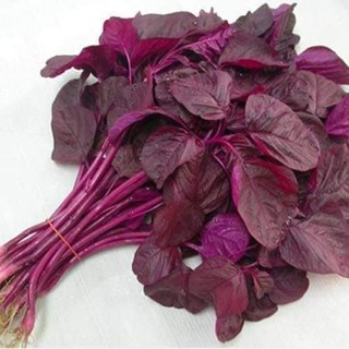 HẠT GIỐNG RAU DỀN ĐỎ (gói 10g)