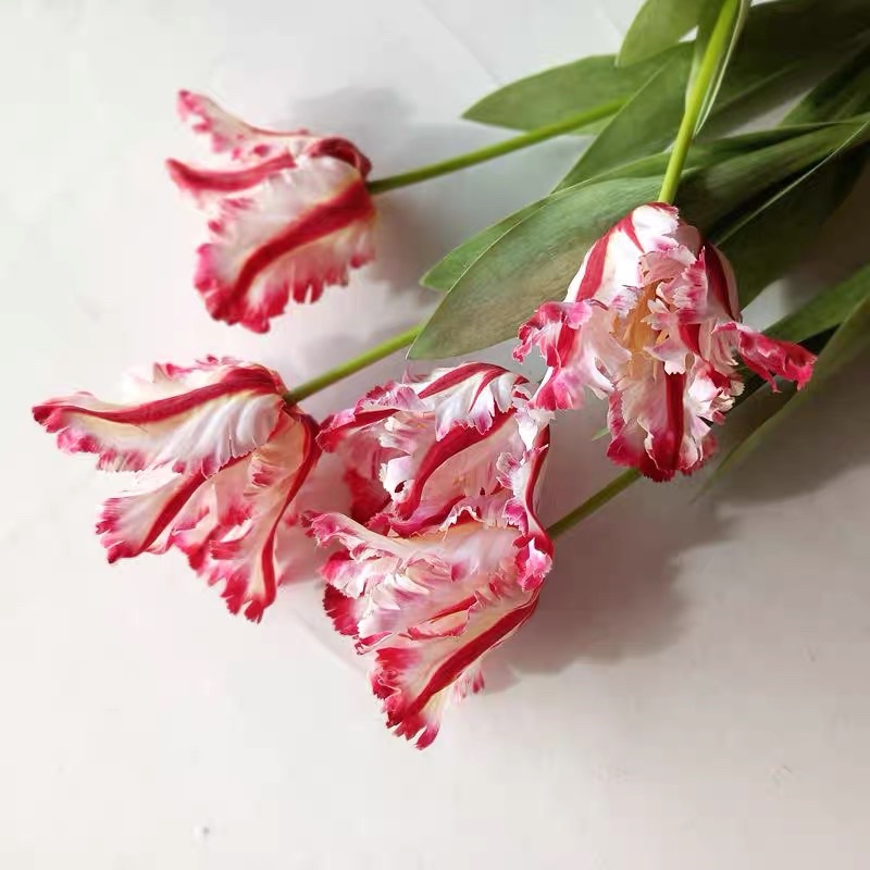 Hoa Giả - Hoa Tulip Cao Cấp