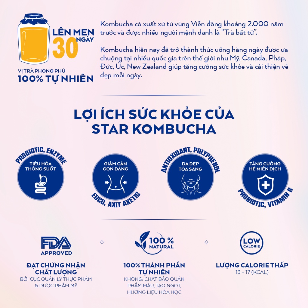 Thùng 12 lon trà lên men Star Kombucha mix vị (250ml/lon)