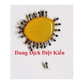 Dung dịch diệt kiến gián sinh học tận gốc