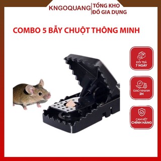 Combo 5 bẫy chuột thông minh