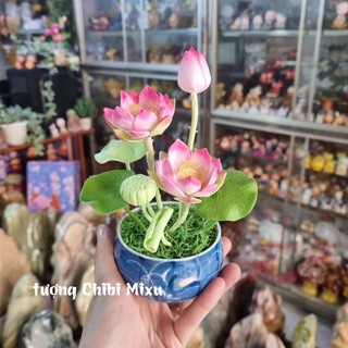 Chậu hoa sen bằng đất sét Nhật 20cm