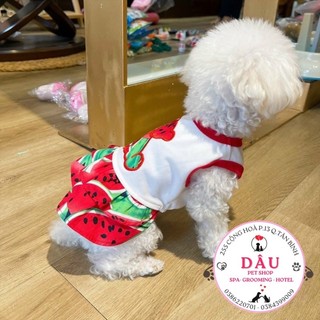 ĐẦM THUN DƯA HẤU