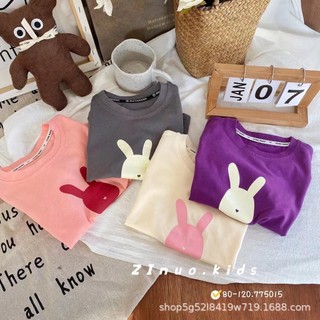 Áo phông cotton thỏ hồng QCCC